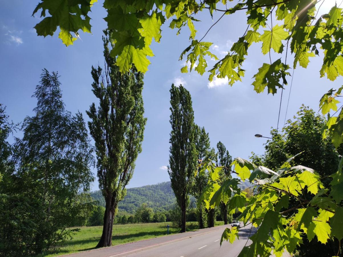 Enduro Apartament Przy Szyndzielni I Debowcu Bielsko-Biała Exterior foto